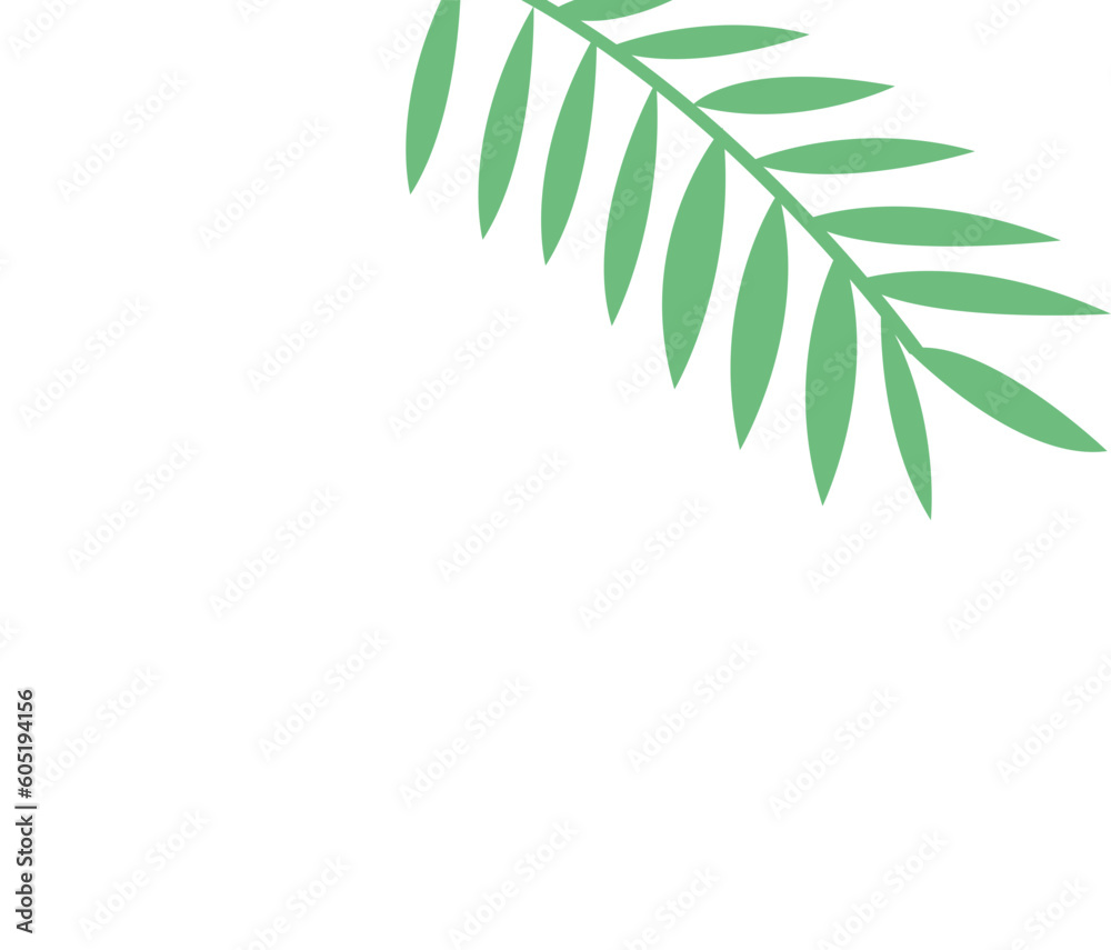 white and green frond white and green frond