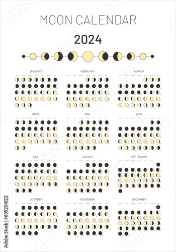 2024 year moon calendar template, moonlight activity stages planner. Astrology, astronomical lunar monthly cycle scheduler, whole cycle from new to full moon calendar banner, card vector illustration