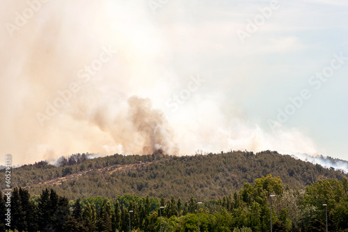 Panache de fumée d'un incendie de forêt
