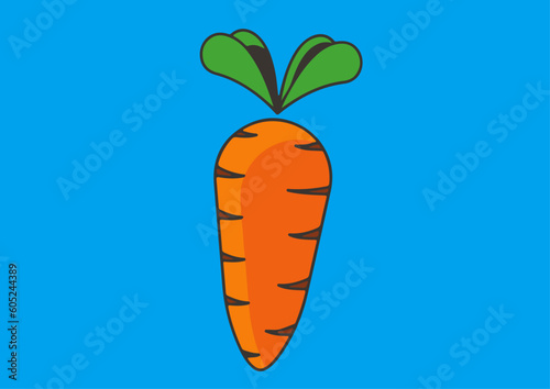 vector colorful carrot vegetable drawing designs