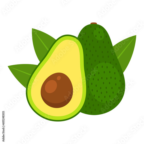 Avocado whole fruit and half isolated on white background. Persea americana, alligator or avocado pear icon. Organic food, healthy nutrition, vegetarian product. Vector flat illustration.