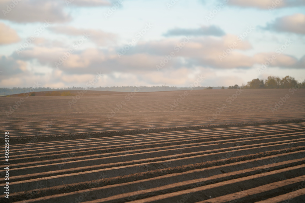 Naklejka premium Close-up of the soil of the farmland. Unused plantation field. Landscape scenery a meadow soil.