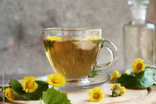 A cup of coltsfoot or Tussilago tea