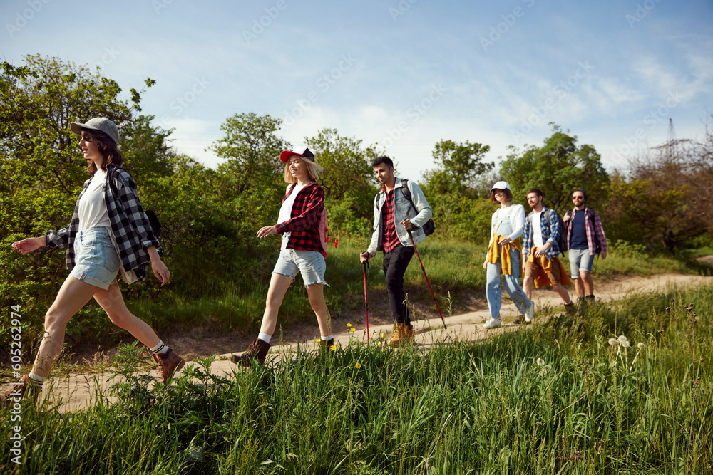 Young people, group of friends walking in forest on path, going hiking on warm summer day. Tourism and leisure time. Concept of active lifestyle, nature, sport and hobby, friendship, fun - obrazy, fototapety, plakaty 