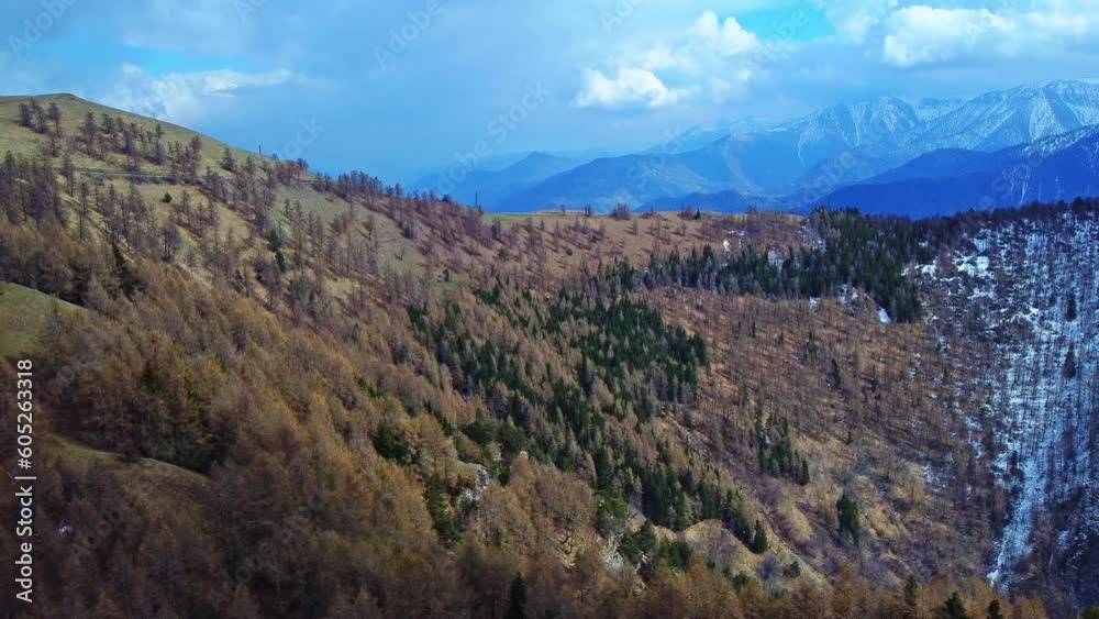 Magnificent Forest In Front Of Distant Snowy Mountains, Busca, Italy Magnificent Forest In Front Of Distant Snowy Mountains, Busca, Italy