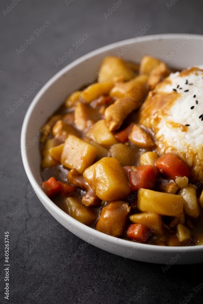Vertical shot of delicious Japanese curry in a white ceramic bowl with a plenty of copy space Vertical shot of delicious Japanese curry in a white ceramic bowl with a plenty of copy space