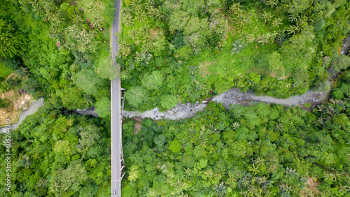 Aerial view of amazing bridge in the middle of a jungle. 