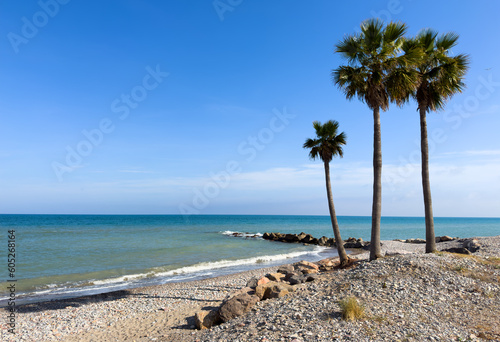 Palm trees near coastline of Mediterranean sea. Palms on blue sky at stone beach. Palms tree at empty beach at ocean. Pebble and rocky beach. Waves in sea near coastline. Summer Holidays and.