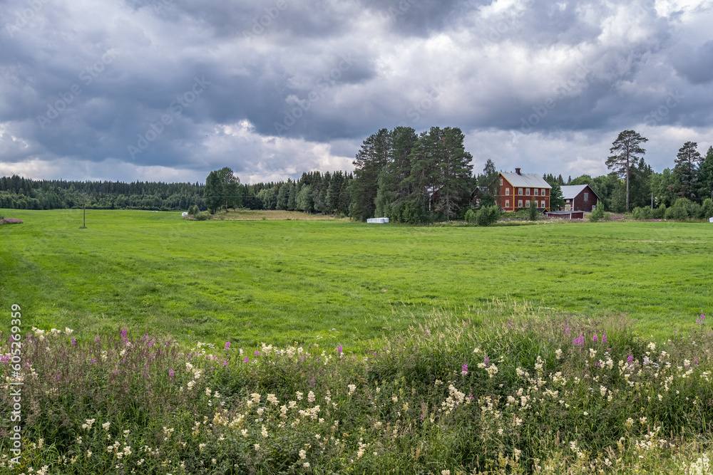 Countryside house at Lake Gåxjön, Hammerdal, Sweden.