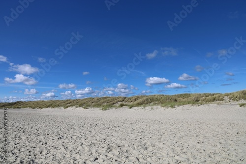 Beautiful view of grass on the sandy beach with a blue sky in the background in Skagen, Denmark