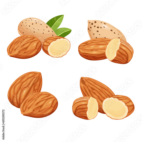 almonds on a white background. Vector eps 10