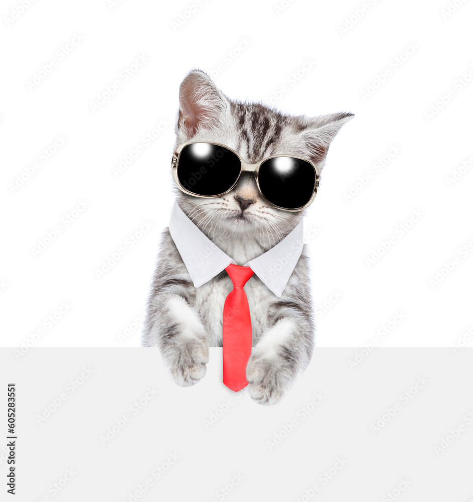 Fototapeta premium Smart cat wearing sunglasses and necktie standing above empty white banner. isolated on white background