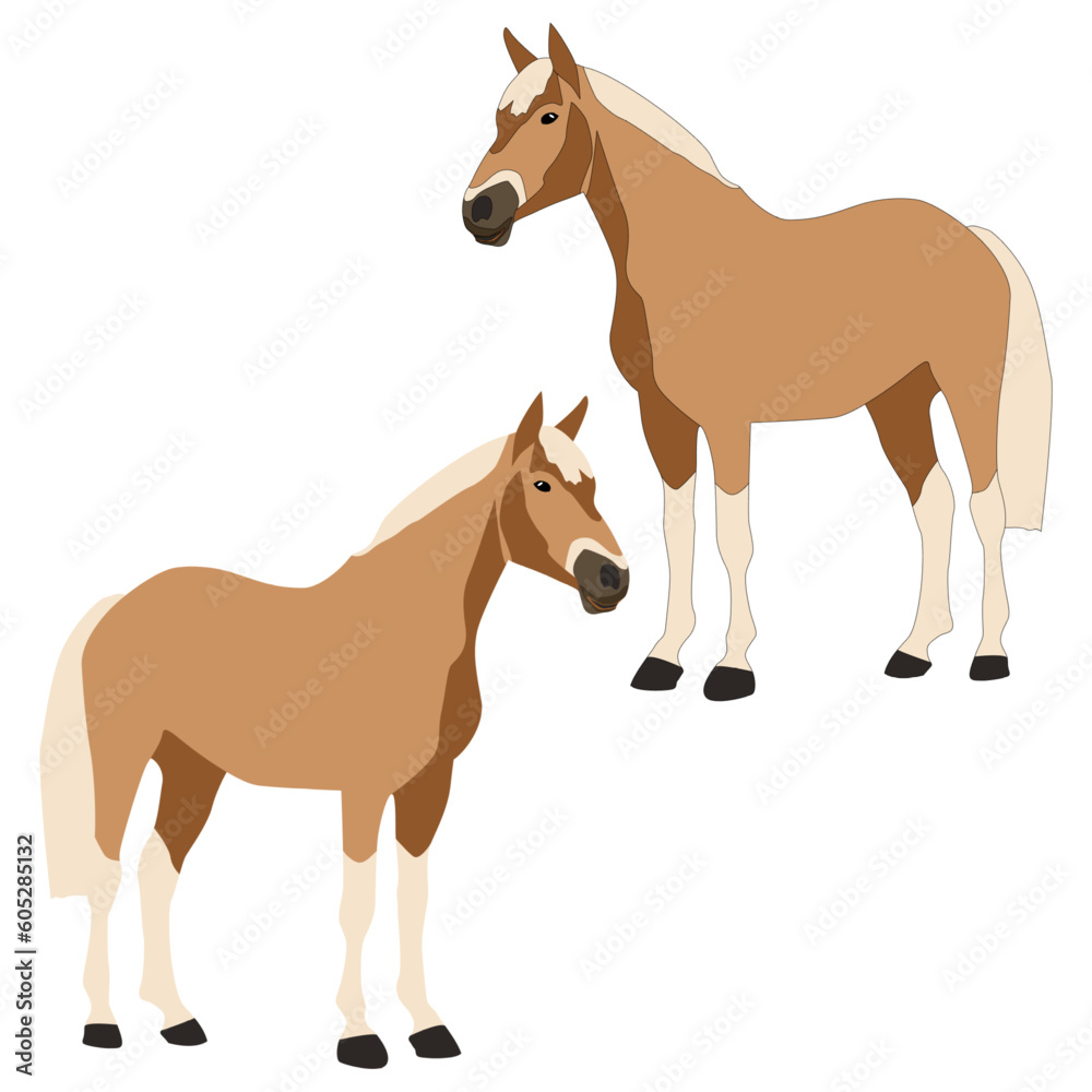 Fototapeta premium Vector brown horse with white legs, mane and tail isolated on white background