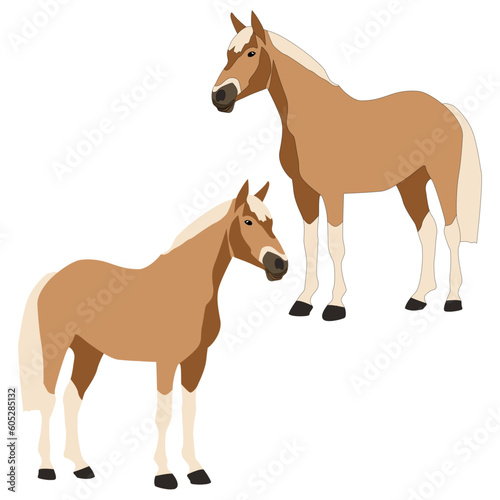 Vector brown horse with white legs, mane and tail isolated on white background