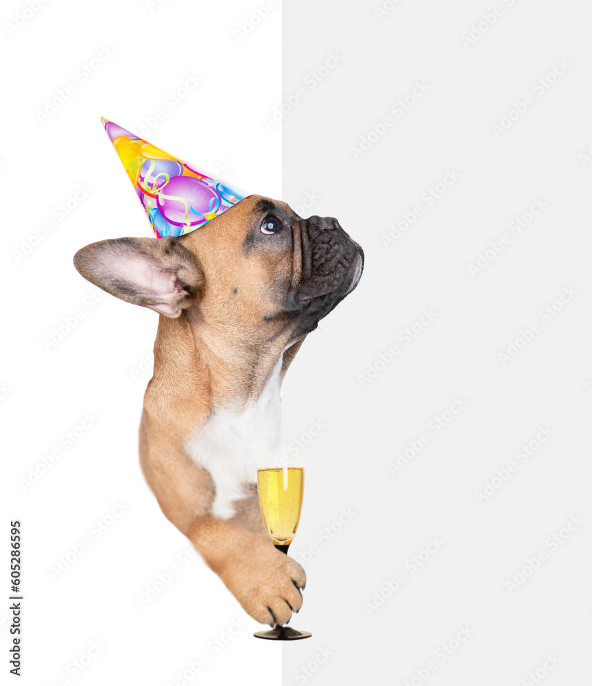 French bulldog puppy wearing party cap looks from behind empty white banner and holds glass of champagne. isolated on white background