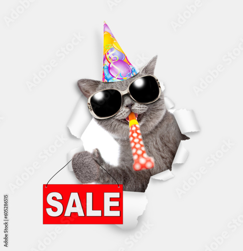 Happy cat wearing sunglasses and party cap looks through the hole in white paper, blows in party horn and shows signboard with labeled "sale" © Ermolaev Alexandr