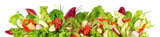 Mixed Salad with Vegetables and Avocado - Fresh Lettuce Panorama Transparent PNG Background