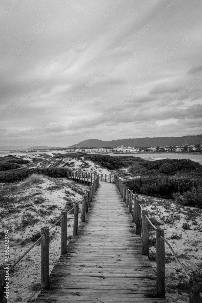 Vertical grayscale of a wooden pathway in the middle of a field against a cloudy sky