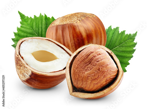 Hazelnut with clipping path isolated on a white