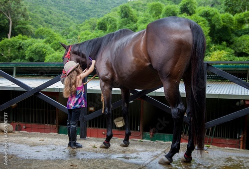Young girl is engaged in the task of grooming a horse © Juan Carlos Rodriguez Garcia/Wirestock Creators