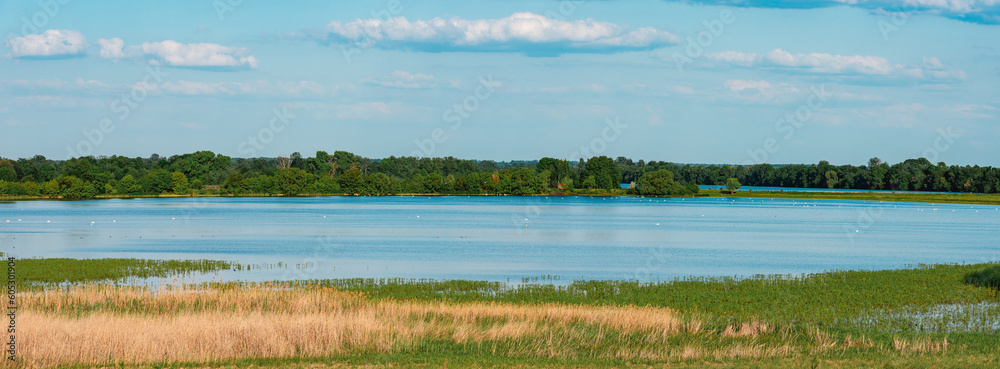 Summer landscape of the lake on a sunny summer day. Panorama.