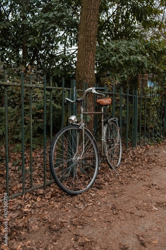 Vertical of an old vintage bicycle parked at a gate in front of tall trees in a peaceful park
