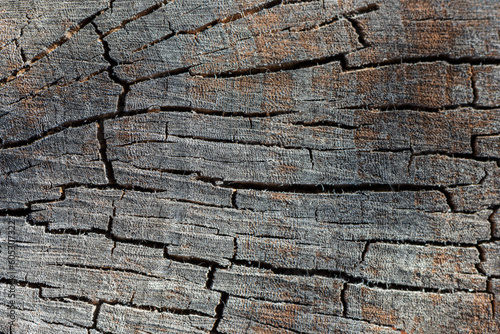Cracked surface of old weathered wood.