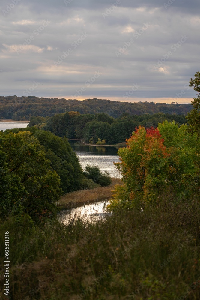 Obraz premium Vertical shot of a river flowing through green trees under a cloudy sky at sunset
