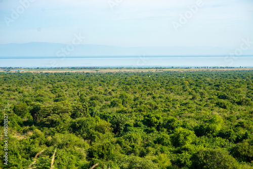 East African rift valley