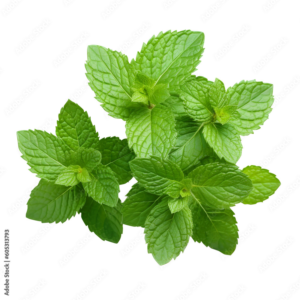 fresh mint leaves created with Generative AI fresh mint leaves created with Generative AI