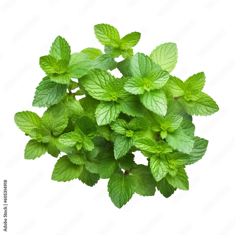 fresh mint leaves created with Generative AI fresh mint leaves created with Generative AI