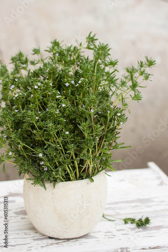 aromatic thyme in a vase