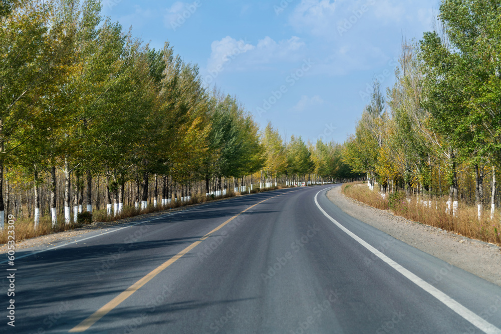 Curved asphalt road surrounded with trees on a sunny day