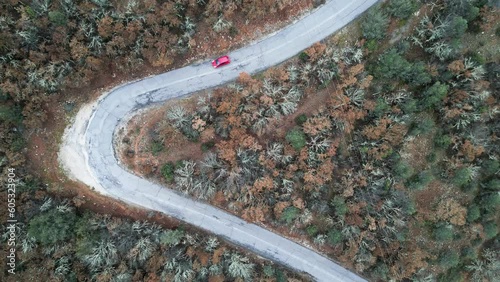 Aerial View: Serene Forest Drive and Steep Turn near Lake Prespa, Greece - Red Car (ID: 605323904)
