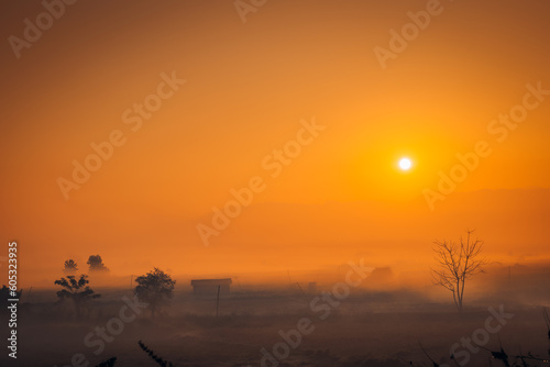 Misty Morning in Dimapur