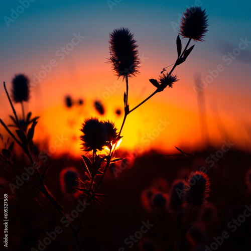 Dawn s Floral Symphony  Silhouetted Summer Flowers in Meadow s Embrace in Northern Europe