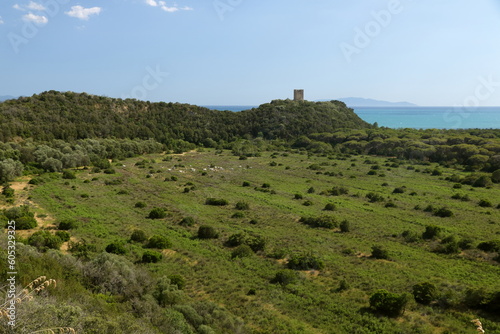 Panorama costiero con una antica torre sulla cima di una collina -  Parco Regionale della Maremma - Toscana - Italia