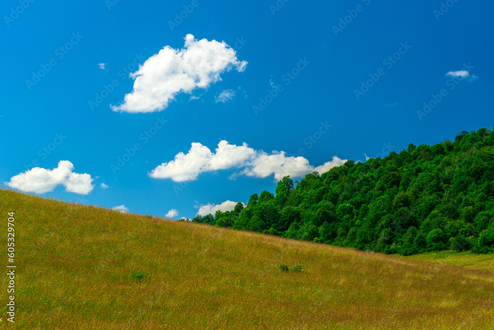 landscape in the bieszczady mountains, meadow, forest and sky landscape in the bieszczady mountains, meadow, forest and sky