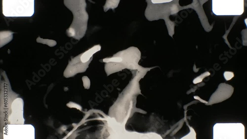 16mm abstract expressive black and white film