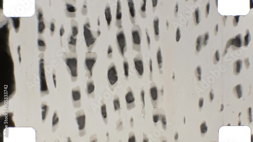 16mm abstract expressive black and white film