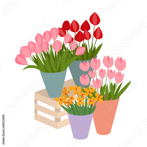 Different kinds flowers set flat vector illustration. Flowers street shop composition