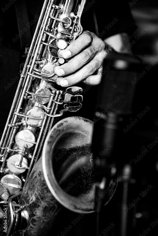 Fototapeta premium musician playing the saxophone