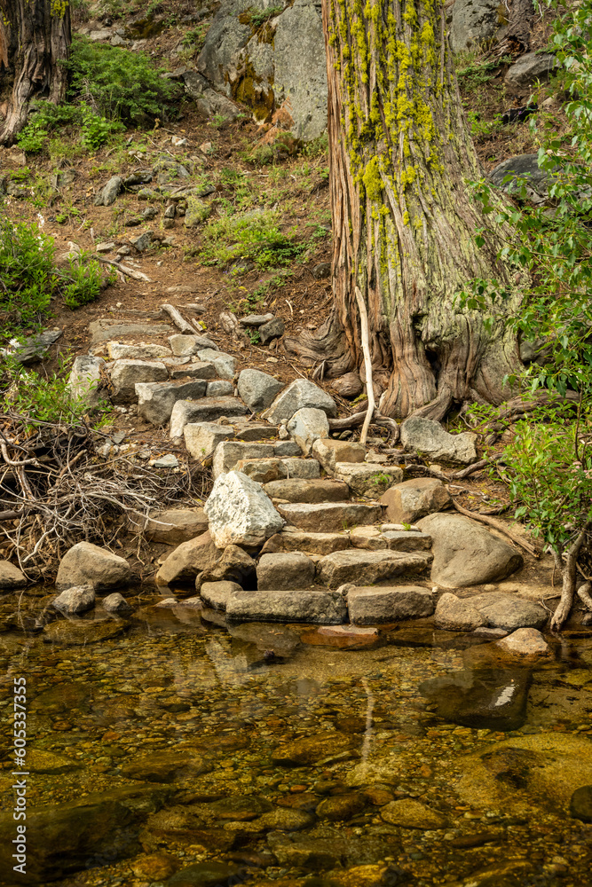 Obraz premium Stone Steps Lead Hikers Uphill After a Creek Crossing in Yosemite