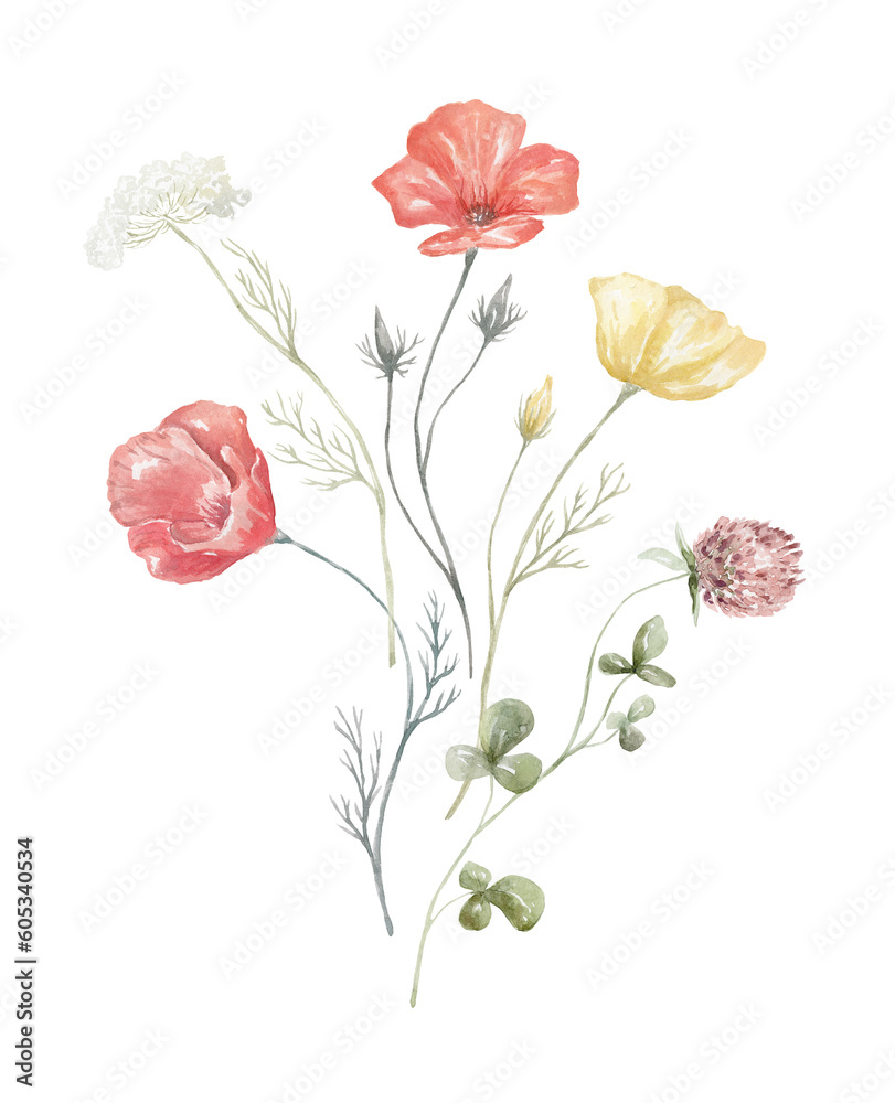 Obraz premium Watercolor Bouquet with Wildflowers. Red Poppy Plant. Design for Card on the white Background.