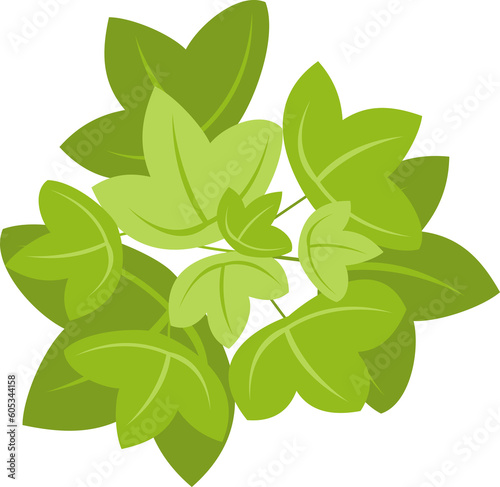 Tree or plant top view for landscape design. Icon  colored tree  for architectural map, plan. Green space. Element for design project of Green spaces