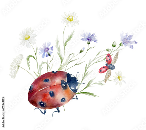 Watercolor Bouquet with Wildflowers and Ladybug. Design for Card on the white Background.