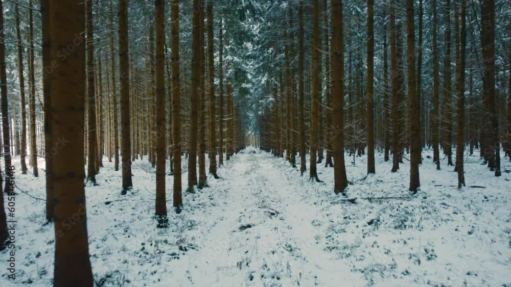 langsamer und tiefer flug durch den schneebedeckten winter wald, luftaufnahme durch den tannen-wald, winter wunderland, idyllischer märchenwald, schneegestöber