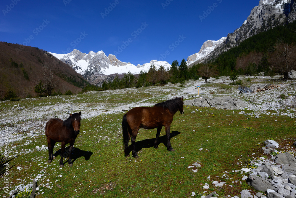 Valbonatal in den Albanischen Alpen