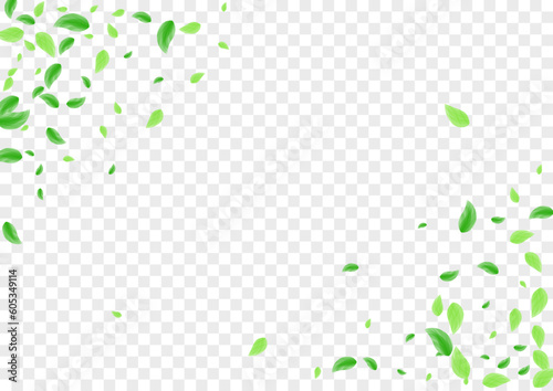 Light Green Plant Background Transparent Vector. Leaves Concept Texture. Bio Design. Greenish Simple Card. Vegetation Set.