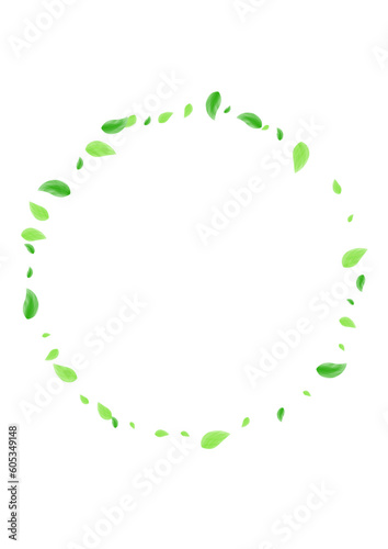 Greenish Leaf Background White Vector. Plant Environmental Card. Flavor Design. Green Concept Texture. Leaves Grow.